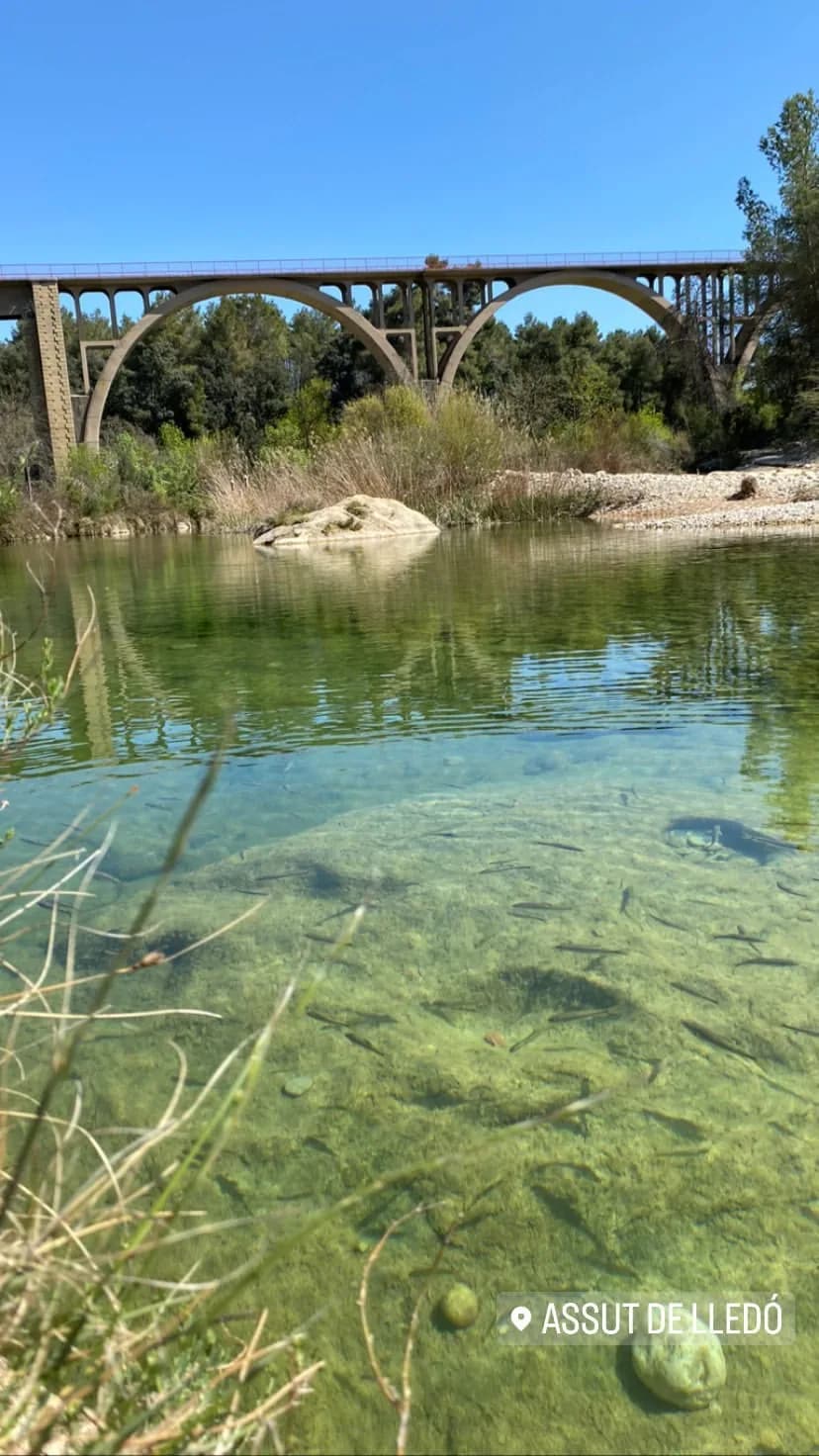 Las aguas cristalinas del río Algars permiten observar pequeños peces bajo la superficie.