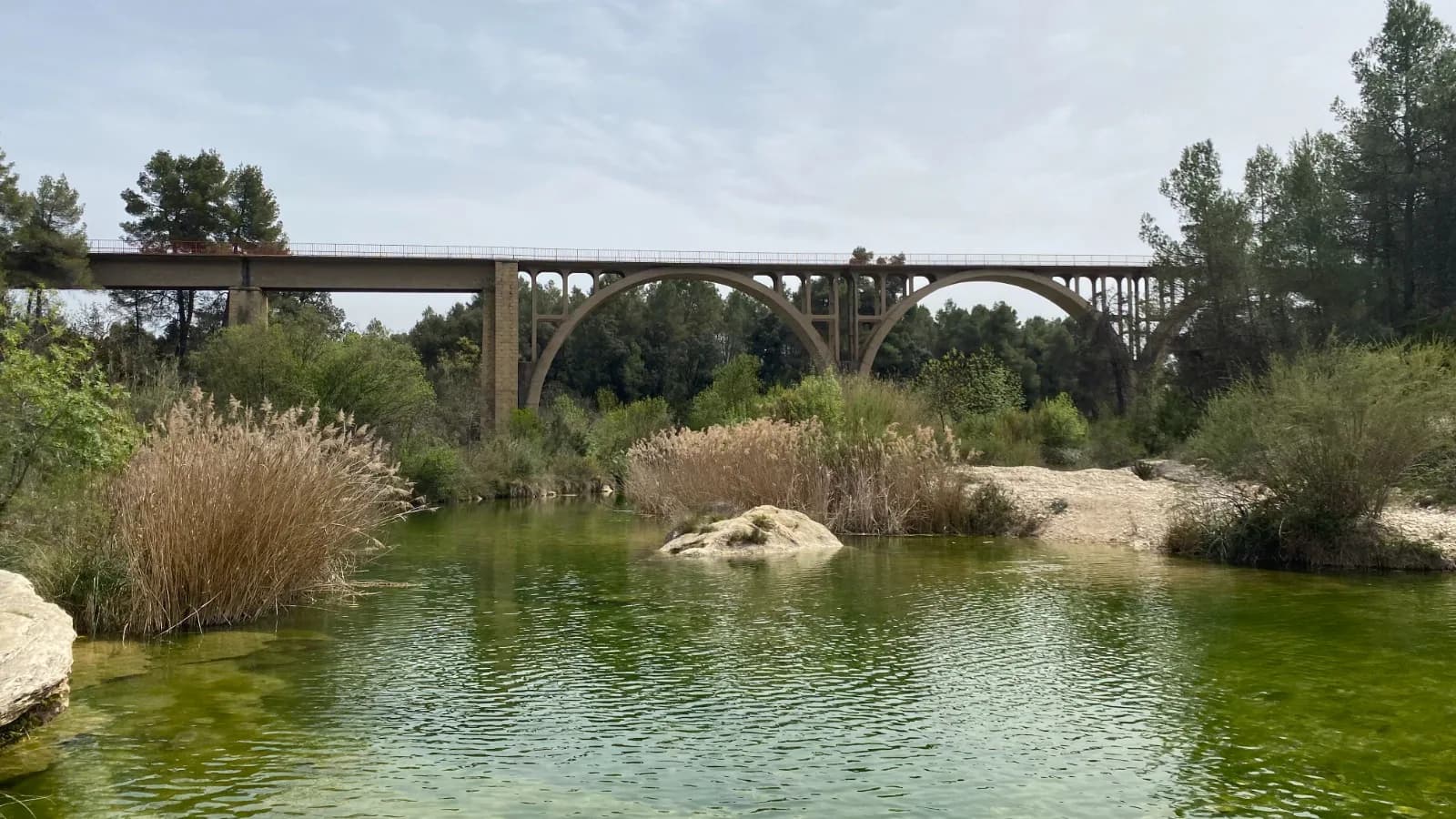 El puente de la Vía Verde Val de Zafán sobre el río Algars, rodeado de vegetación.