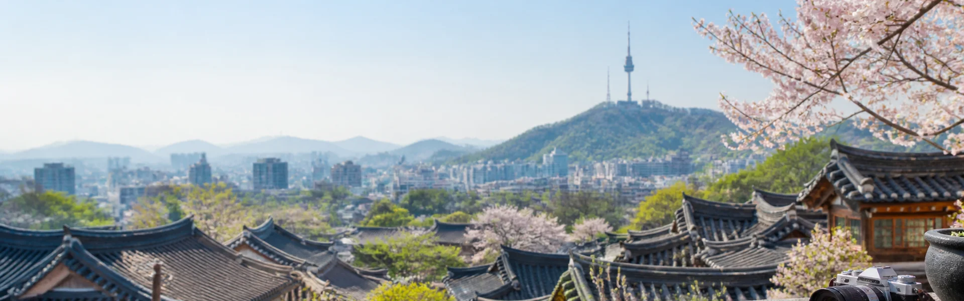 🌿 어서 데 레도: 알가스 강을 즐기기 위한 자연스러운 휴식처